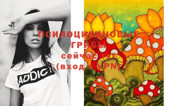 тгк Баксан
