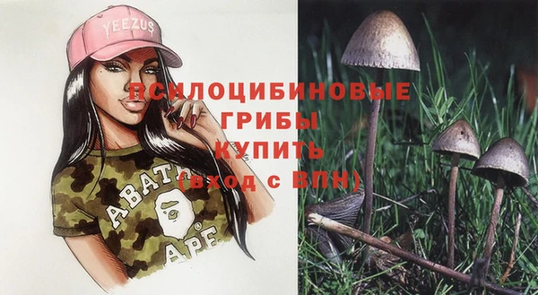 тгк Баксан