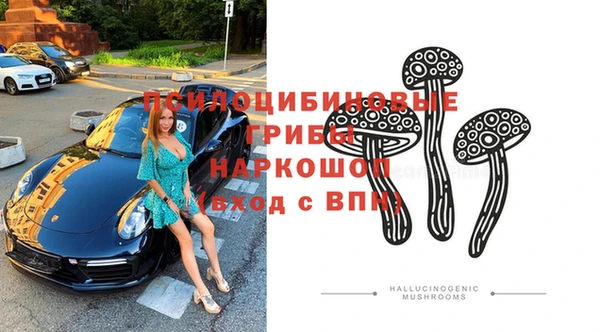 ГАЛЛЮЦИНОГЕННЫЕ ГРИБЫ Нея