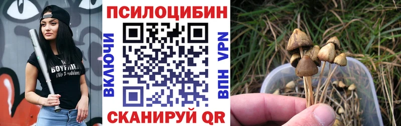 Псилоцибиновые грибы Psilocybine cubensis Сретенск